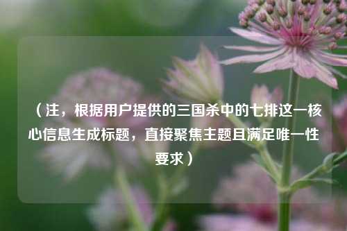 (注,根据用户提供的三国杀中的七排这一核心信息生成标题,直接聚焦主题且满足唯一性要求)