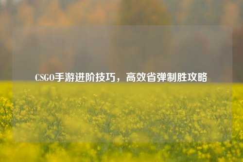 CSGO手游进阶技巧,高效省弹制胜攻略