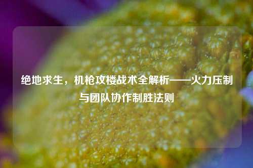 绝地求生,机枪攻楼战术全解析——火力压制与团队协作制胜法则