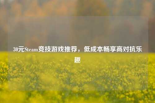 30元Steam竞技游戏推荐,低成本畅享高对抗乐趣