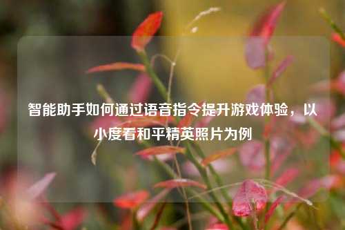智能助手如何通过语音指令提升游戏体验,以小度看和平精英照片为例
