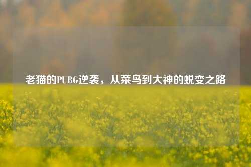 老猫的PUBG逆袭,从菜鸟到大神的蜕变之路