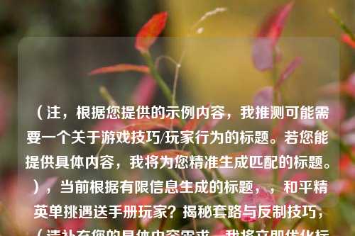 (注,根据您提供的示例内容,我推测可能需要一个关于游戏技巧/玩家行为的标题。若您能提供具体内容,我将为您精准生成匹配的标题。),当前根据有限信息生成的标题,,和平精英单挑遇送手册玩家?揭秘套路与反制技巧,(请补充您的具体内容需求,我将立即优化标题)