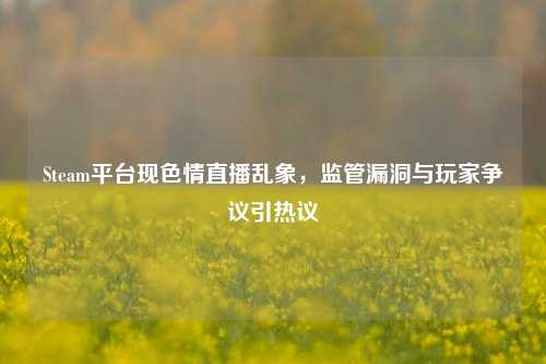 Steam平台现色情直播乱象,监管漏洞与玩家争议引热议