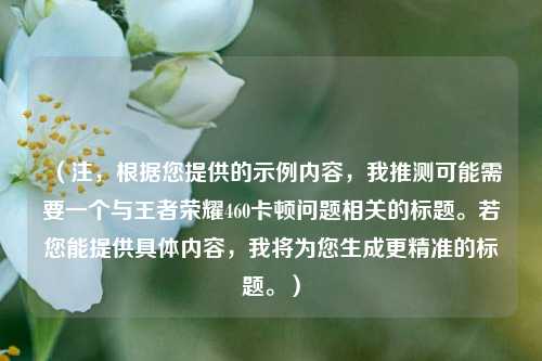 (注,根据您提供的示例内容,我推测可能需要一个与王者荣耀460卡顿问题相关的标题。若您能提供具体内容,我将为您生成更精准的标题。)