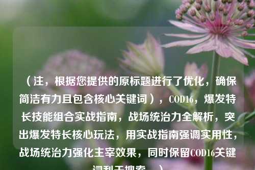 (注,根据您提供的原标题进行了优化,确保简洁有力且包含核心关键词),COD16,爆发特长技能组合实战指南,战场统治力全解析,突出爆发特长核心玩法,用实战指南强调实用性,战场统治力强化主宰效果,同时保留COD16关键词利于搜索。)