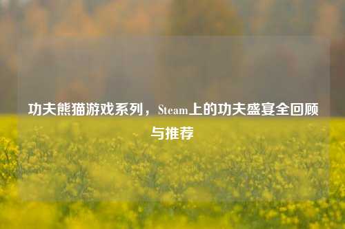 功夫熊猫游戏系列,Steam上的功夫盛宴全回顾与推荐