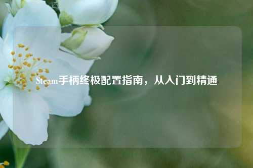 Steam手柄终极配置指南,从入门到精通