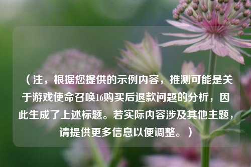 (注,根据您提供的示例内容,推测可能是关于游戏使命召唤16购买后退款问题的分析,因此生成了上述标题。若实际内容涉及其他主题,请提供更多信息以便调整。)