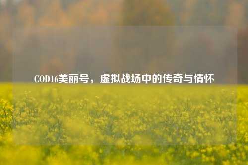 COD16美丽号,虚拟战场中的传奇与情怀