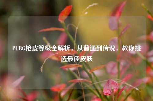 PUBG枪皮等级全解析,从普通到传说,教你挑选最佳皮肤