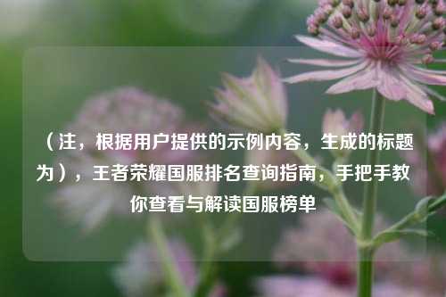 (注,根据用户提供的示例内容,生成的标题为),王者荣耀国服排名查询指南,手把手教你查看与解读国服榜单