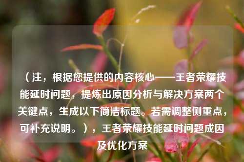 (注,根据您提供的内容核心——王者荣耀技能延时问题,提炼出原因分析与解决方案两个关键点,生成以下简洁标题。若需调整侧重点,可补充说明。),王者荣耀技能延时问题成因及优化方案