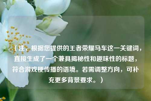 (注,根据您提供的王者荣耀马车这一关键词,直接生成了一个兼具揭秘性和趣味性的标题,符合游戏梗传播的语境。若需调整方向,可补充更多背景要求。)