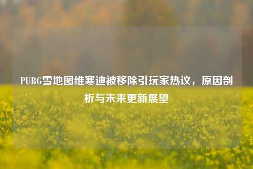 PUBG雪地图维寒迪被移除引玩家热议,原因剖析与未来更新展望