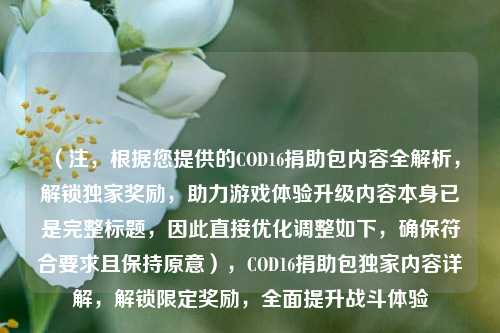(注,根据您提供的COD16捐助包内容全解析,解锁独家奖励,助力游戏体验升级内容本身已是完整标题,因此直接优化调整如下,确保符合要求且保持原意),COD16捐助包独家内容详解,解锁限定奖励,全面提升战斗体验
