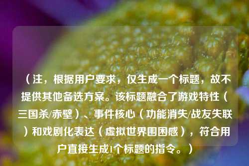 (注,根据用户要求,仅生成一个标题,故不提供其他备选方案。该标题融合了游戏特性(三国杀/赤壁)、事件核心(功能消失/战友失联)和戏剧化表达(虚拟世界围困感),符合用户直接生成1个标题的指令。)