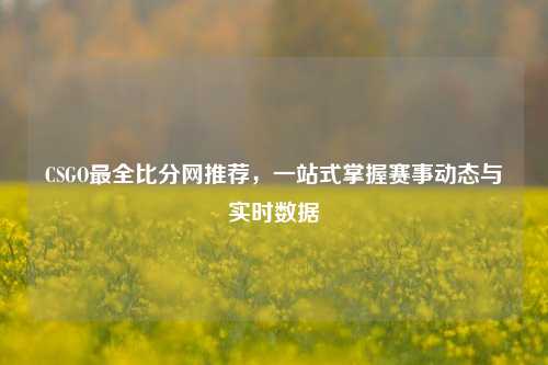 CSGO最全比分网推荐,一站式掌握赛事动态与实时数据