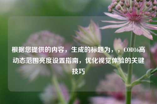 根据您提供的内容,生成的标题为,,COD16高动态范围亮度设置指南,优化视觉体验的关键技巧