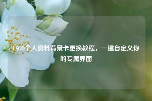 CSGO个人资料背景卡更换教程,一键自定义你的专属界面