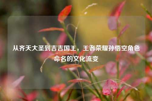 从齐天大圣到吉吉国王,王者荣耀孙悟空角色命名的文化流变