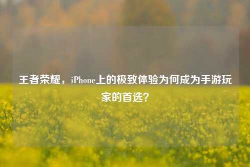 王者荣耀,iPhone上的极致体验为何成为手游玩家的首选?