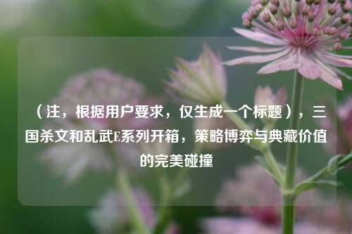 (注,根据用户要求,仅生成一个标题),三国杀文和乱武E系列开箱,策略博弈与典藏价值的完美碰撞