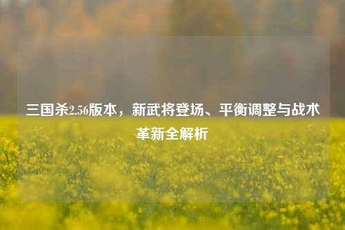 三国杀2.56版本,新武将登场、平衡调整与战术革新全解析