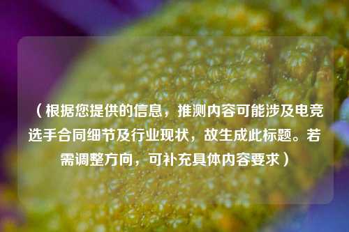 (根据您提供的信息,推测内容可能涉及电竞选手合同细节及行业现状,故生成此标题。若需调整方向,可补充具体内容要求)