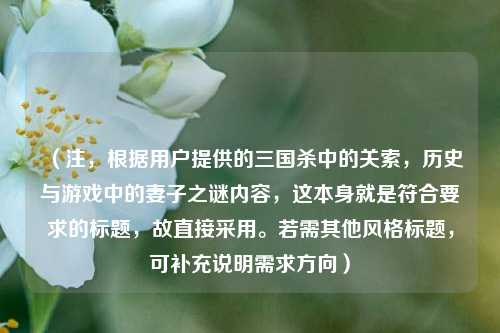 (注,根据用户提供的三国杀中的关索,历史与游戏中的妻子之谜内容,这本身就是符合要求的标题,故直接采用。若需其他风格标题,可补充说明需求方向)