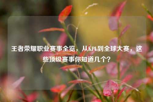 王者荣耀职业赛事全览,从KPL到全球大赛,这些顶级赛事你知道几个?