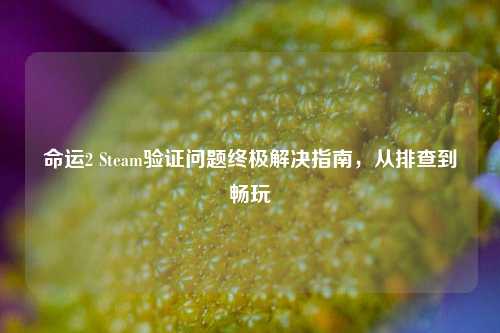 命运2 Steam验证问题终极解决指南,从排查到畅玩
