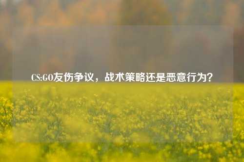 CS:GO友伤争议,战术策略还是恶意行为?