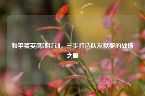 和平精英鹰眼特训,三步打造队友默契的战场之眼