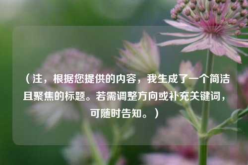 (注,根据您提供的内容,我生成了一个简洁且聚焦的标题。若需调整方向或补充关键词,可随时告知。)