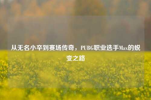 从无名小卒到赛场传奇,PUBG职业选手Max的蜕变之路