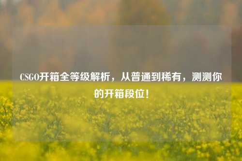 CSGO开箱全等级解析,从普通到稀有,测测你的开箱段位!