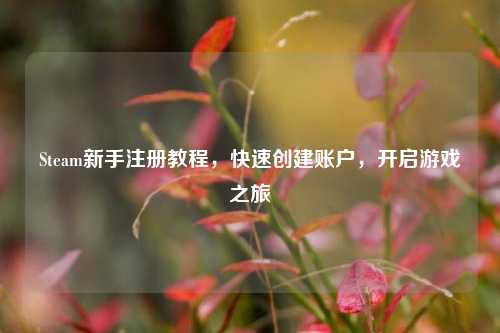 Steam新手注册教程,快速创建账户,开启游戏之旅