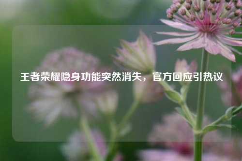 王者荣耀隐身功能突然消失,官方回应引热议