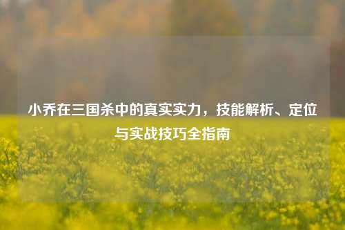 小乔在三国杀中的真实实力,技能解析、定位与实战技巧全指南