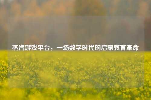 蒸汽游戏平台,一场数字时代的启蒙教育革命