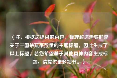 (注,根据您提供的内容,我理解您需要的是关于三国杀玩家数量的主题标题,因此生成了以上标题。若您希望基于其他具体内容生成标题,请提供更多细节。)