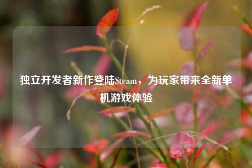独立开发者新作登陆Steam,为玩家带来全新单机游戏体验