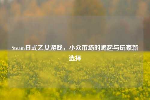 Steam日式乙女游戏,小众市场的崛起与玩家新选择