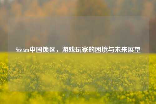 Steam中国锁区,游戏玩家的困境与未来展望