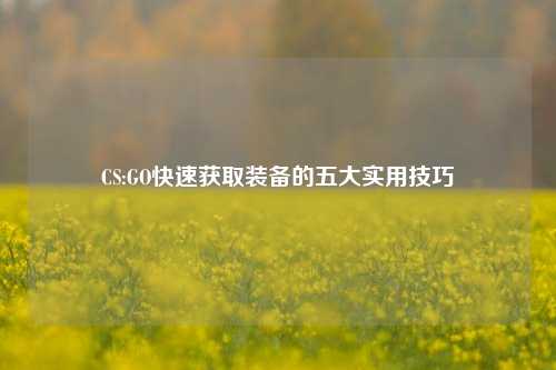 CS:GO快速获取装备的五大实用技巧