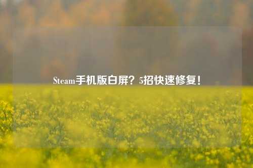 Steam手机版白屏?5招快速修复!