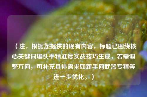 (注,根据您提供的现有内容,标题已围绕核心关键词爆头率精准度实战技巧生成,若需调整方向,可补充具体需求如新手向武器专精等进一步优化。)