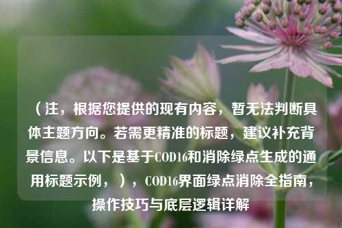 (注,根据您提供的现有内容,暂无法判断具体主题方向。若需更精准的标题,建议补充背景信息。以下是基于COD16和消除绿点生成的通用标题示例,),COD16界面绿点消除全指南,操作技巧与底层逻辑详解