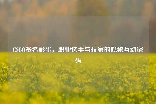 CSGO签名彩蛋,职业选手与玩家的隐秘互动密码